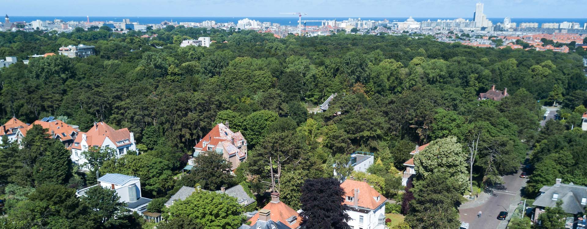 Estata voelde aan wat wij zochten.